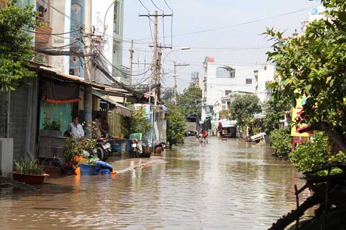 TPHCM xuất hiện "sóng bạc đầu" trên… phố - 15