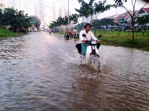 TPHCM xuất hiện "sóng bạc đầu" trên… phố - 10