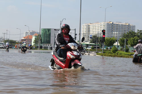 TPHCM xuất hiện "sóng bạc đầu" trên… phố - 13