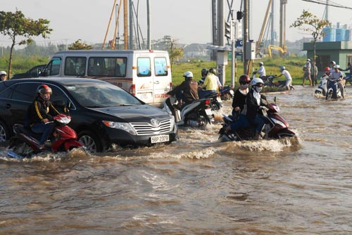 TPHCM xuất hiện "sóng bạc đầu" trên… phố - 3