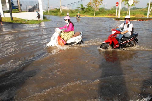 TPHCM xuất hiện "sóng bạc đầu" trên… phố - 4