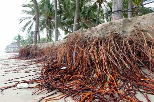 Hội An: Biển xâm thực “xóa sổ” bãi tắm Cửa Đại - 2