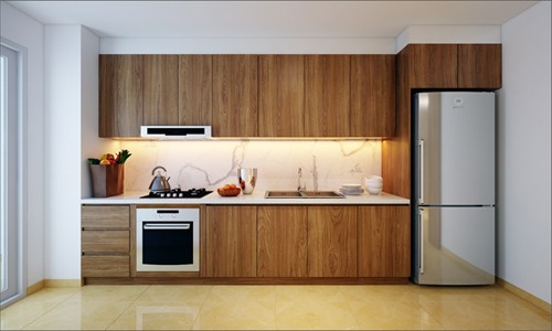 Lam Trường giàu cỡ nào trước khi cưới? - 3