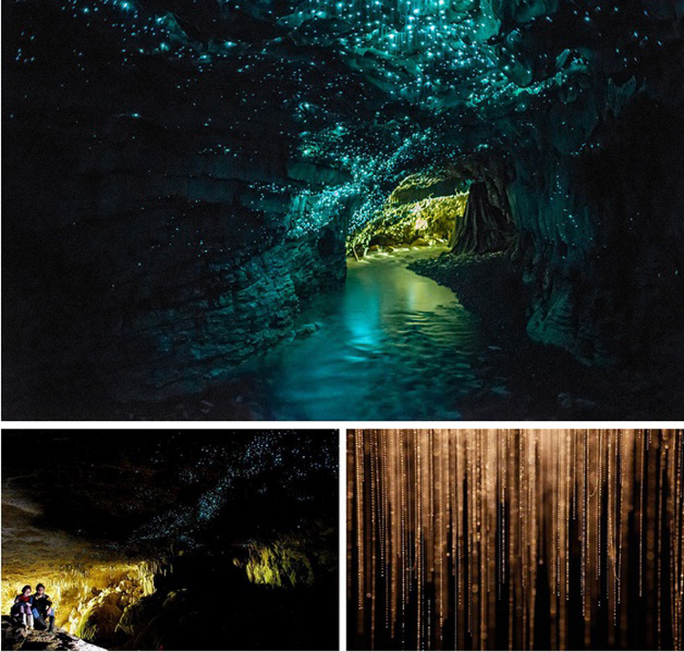 2.&nbsp;Hang động Glowworm, New Zealand

Hang động Waitomo Glowworm thuộc đảo Bắc, New Zealand nổi tiếng với vô vàn những con đom đóm phát ra ánh sáng kỳ diệu. Bất cứ ai khi lần đầu đặt chân tới đây đều phải ngỡ ngàng trước vẻ đẹp huyền bí như những ngôi sao xuất hiện dưới lòng đất của nó.
