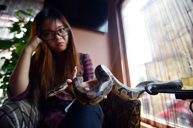 Nữ sinh Báo chí với sở thích ''đá lưỡi'' hôn trăn - 4