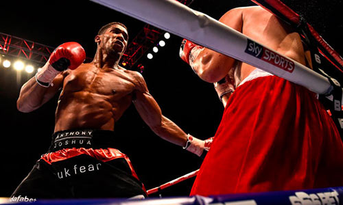 Boxing: Võ sỹ trẻ đang lên thách thức đàn anh - 1
