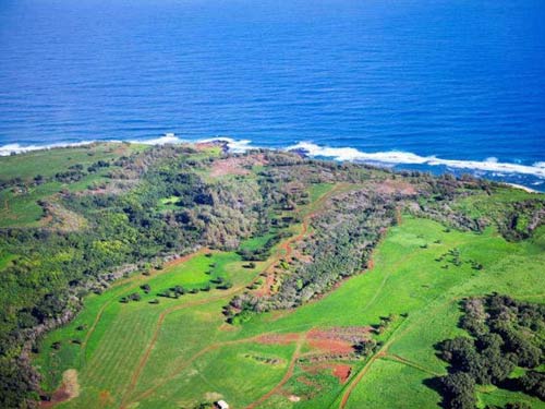 Ông chủ Facebook mua một phần đảo Hawaii - 1