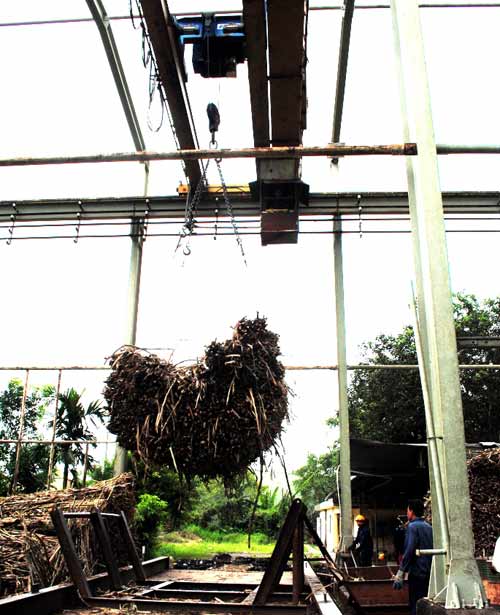 Nhà máy mía đường duy nhất ở Cà Mau ngừng thu mua mía - 2