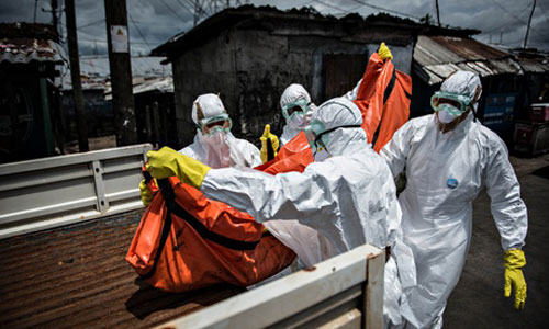 Thảm họa Ebola sẽ hoành hành nếu không tìm ra vaccine - 1
