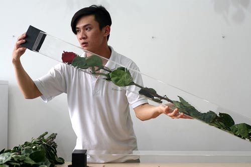 Hoa hồng dài 1,6 m giá 700.000 đồng hút khách Sài Gòn - 1