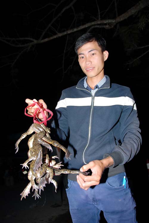 Chợ đầu mối cá đồng họp lúc nửa đêm ở miền Tây - 10