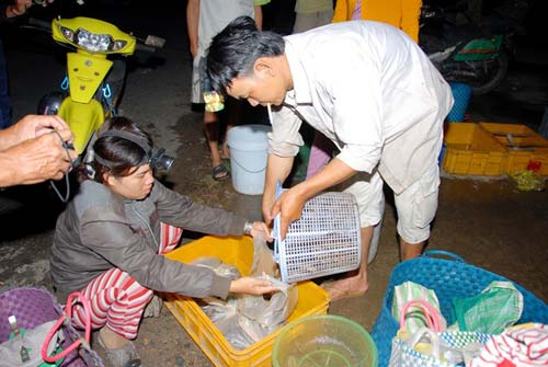 Chợ đầu mối cá đồng họp lúc nửa đêm ở miền Tây - 2
