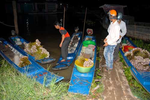 Chợ đầu mối cá đồng họp lúc nửa đêm ở miền Tây - 4