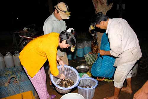 Chợ đầu mối cá đồng họp lúc nửa đêm ở miền Tây - 6