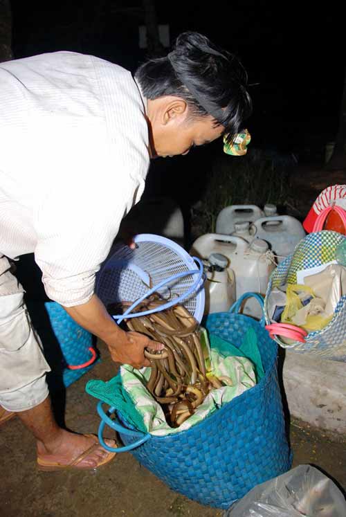 Chợ đầu mối cá đồng họp lúc nửa đêm ở miền Tây - 9