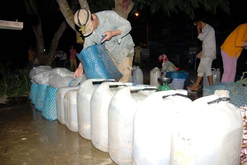 Chợ đầu mối cá đồng họp lúc nửa đêm ở miền Tây - 13