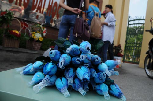 Hà Nội: Hoa tươi "hét" giá cao gấp 3 lần dịp 20/10 - 4