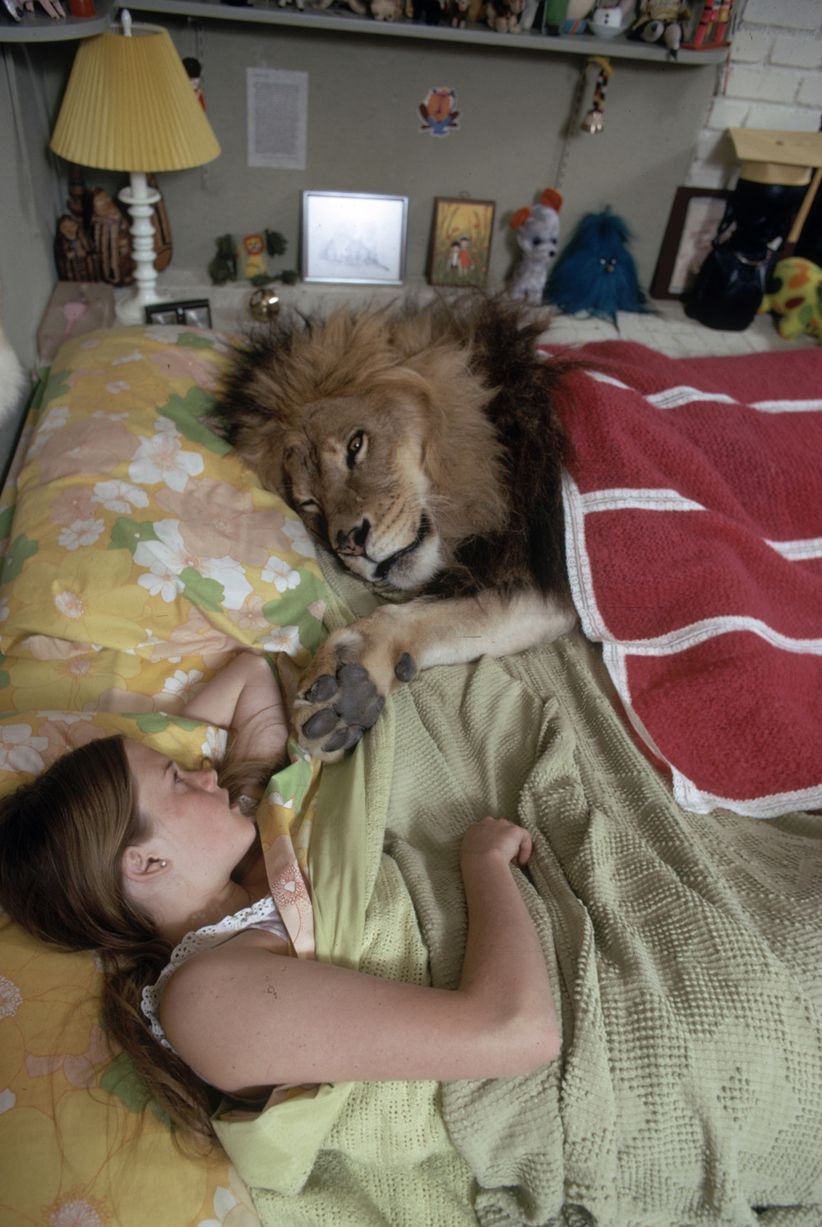 Siêu sao hối hận vì để con gái ngủ với sư tử - 1
