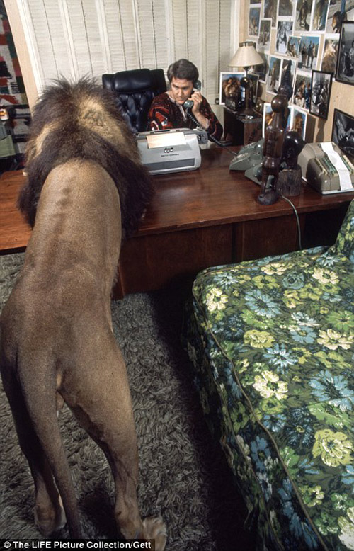 Siêu sao hối hận vì để con gái ngủ với sư tử - 7