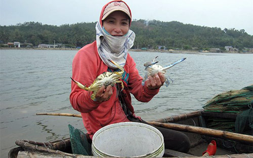 Thưởng ngoạn cua đá Sa Huỳnh - 1