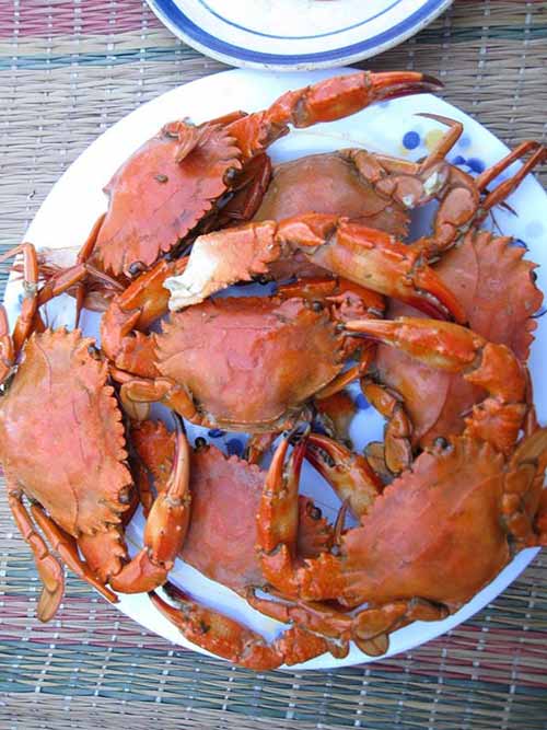 Thưởng ngoạn cua đá Sa Huỳnh - 2