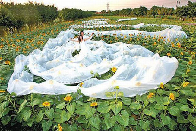 Chiếc váy cưới với khăn voan dài kỷ lục


