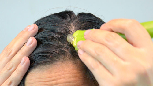 5 thần dược thiên nhiên giúp da mượt đẹp bất ngờ - 5