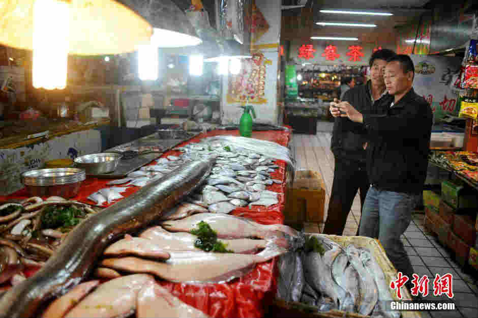 Giật mình vì chú lươn "khổng lồ" dài 2 mét - 5