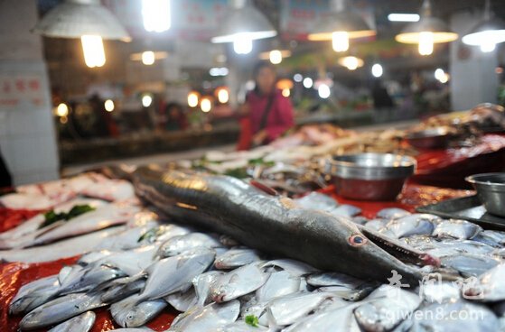 Giật mình vì chú lươn "khổng lồ" dài 2 mét - 10