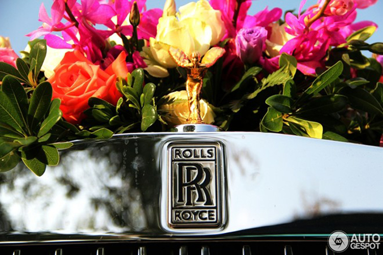 Biểu tượng Spirit of Ecstasy được mạ vàng
