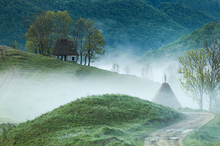 Ngôi nhà mái cỏ chìm trong sương sớm trên sườn núi Apuseni, Romania.
