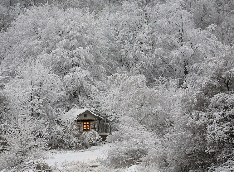 Ngôi nhà nhỏ ấm cúng lọt thỏm giữa mùa đông băng giá.
