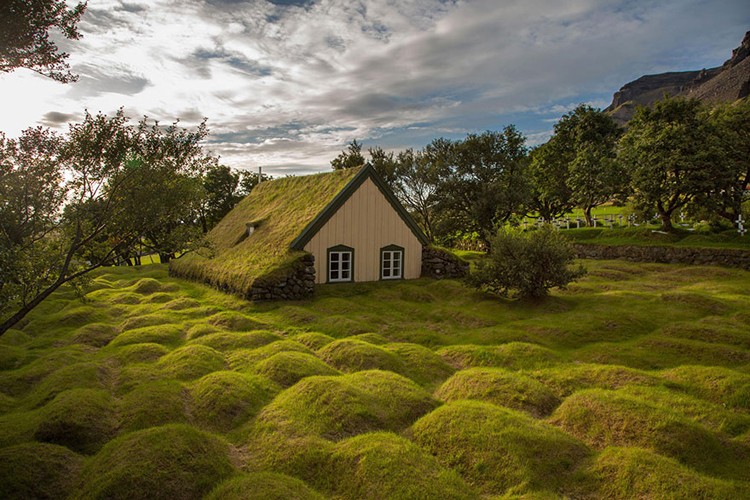 Nhà thờ mái cỏ Hofskirkja ở Iceland. 
