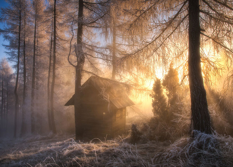 Ngôi nhà ma quái giữa rừng cây phủ đầy tuyết trắng ở Ba Lan.
