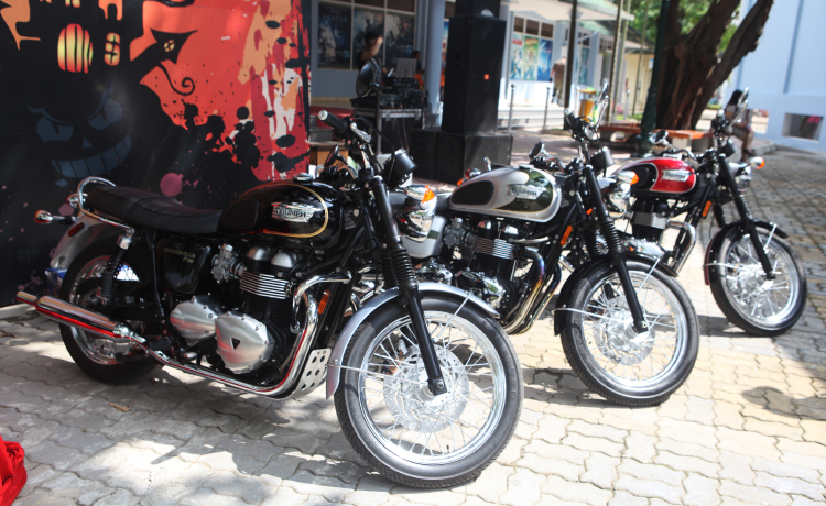 Loạt xe Triumph T100 các phiên bản như bản kỷ niệm 110 năm, bản đặc biệt hay phiên bản với màu sơn đen.
