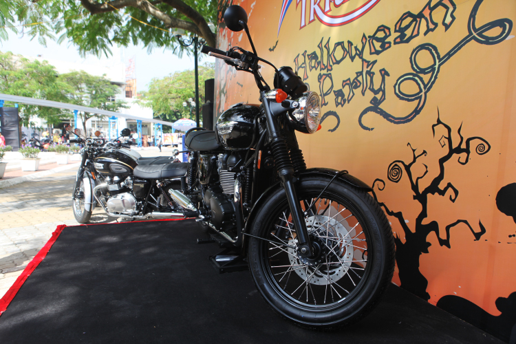 Triumph T100
