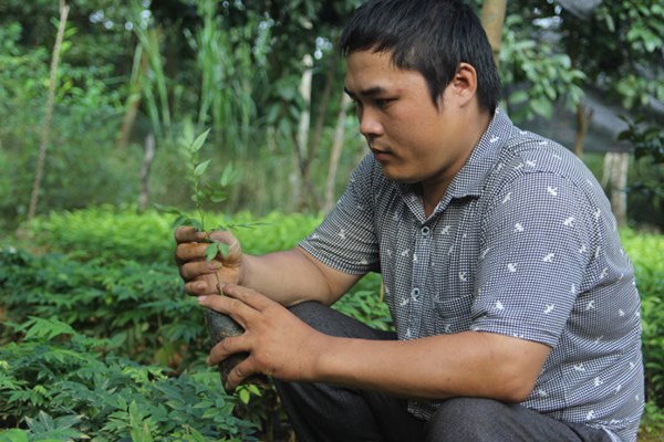 Chàng trai tật nguyền và vườn ươm trăm triệu - 1