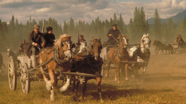 11 bộ phim bị chỉ trích vì ngược đãi động vật - 3