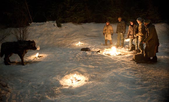 11 bộ phim bị chỉ trích vì ngược đãi động vật - 2