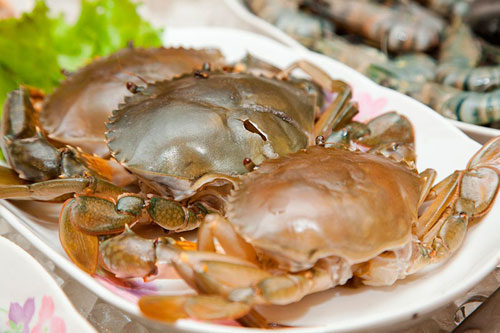 BBQ House ưu đãi mừng sinh nhật lần thứ 2 - 13
