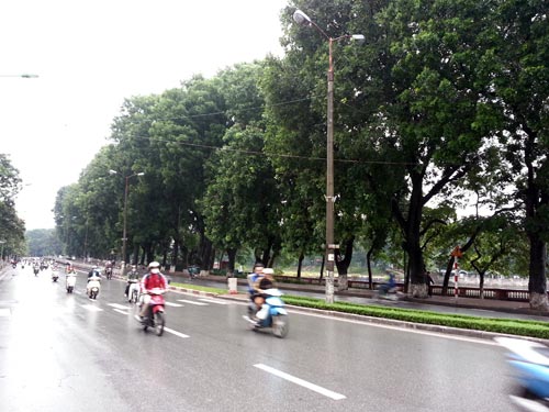 HN chặt hàng trăm cây cổ thụ: "Tốt nhất là chuyển cây đi" - 3