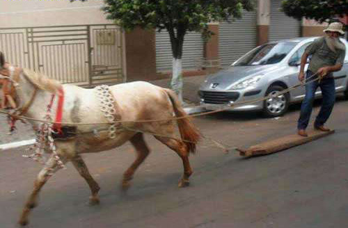 Top những hành động hài khó lý giải - 4