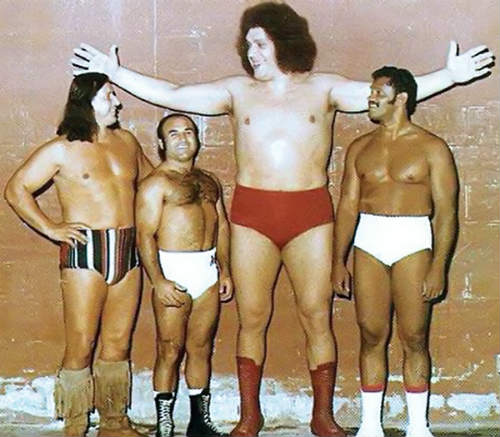 10 đô vật có chiều cao khủng nhất thế giới - 3