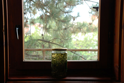 Tự làm tinh dầu rẻ tiền dưỡng da cực tốt - 5