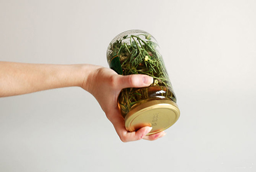 Tự làm tinh dầu rẻ tiền dưỡng da cực tốt - 6