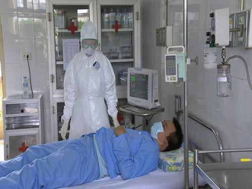 VN hoàn toàn có thể đối phó nếu dịch Ebola xâm nhập - 1