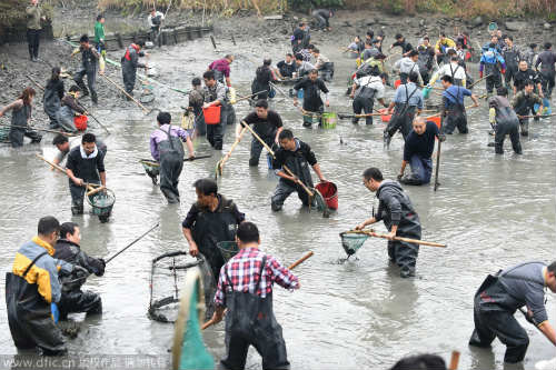 Độc đáo lễ hội bắt cá dưới bùn ở Trung Quốc - 1