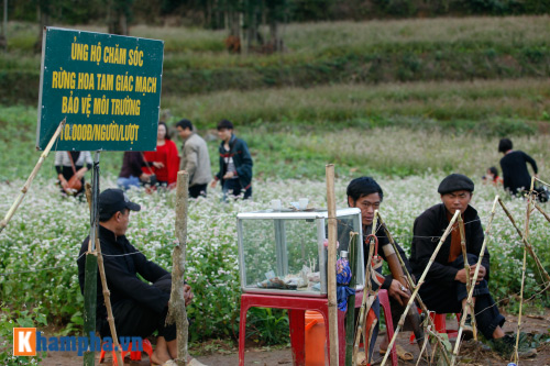 Lên Hà Giang chụp ảnh cưới cùng tam giác mạch - 3