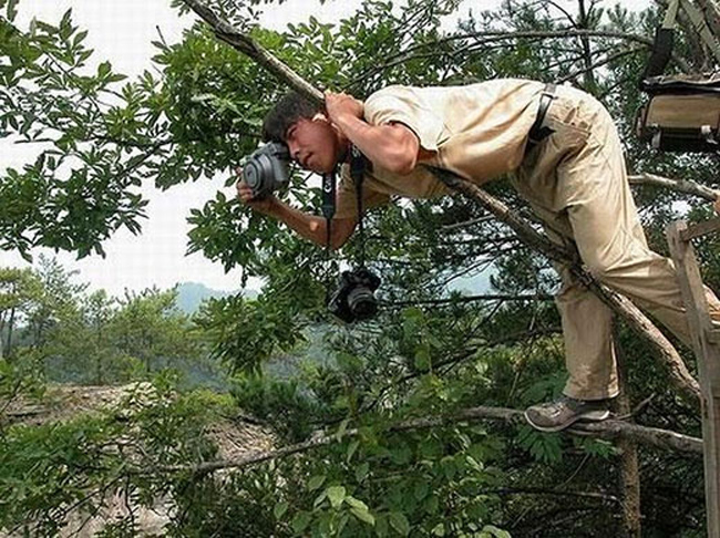 Săn ảnh là phải mạo hiểm thế này
