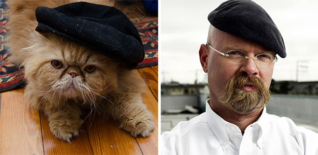 Chú mèo phiên bản Jamie Hyneman.
